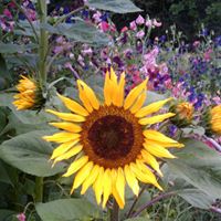 Catherine Foster Photo 40 Catherine Foster Photo 40