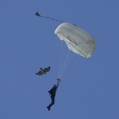 Chris Devins Photo 3