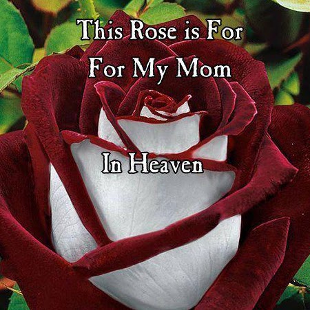 Robert Kirkland Photo 27