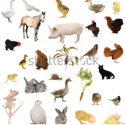 Lynnette Johnson Photo 17 Lynnette Johnson Photo 17