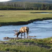 Andrea Robins Photo 12