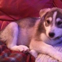 Roy Wheeler Photo 27