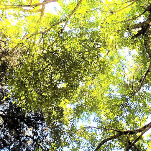 John Cousins Photo 39