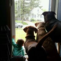 Debra Rose Photo 34