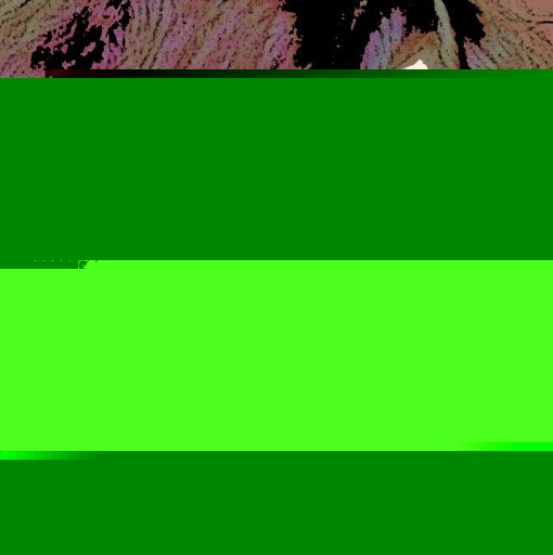 Nina Taylor Photo 25