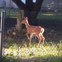 Jacquelyn Adams Photo 22