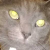 Jennifer Mcewen Photo 39