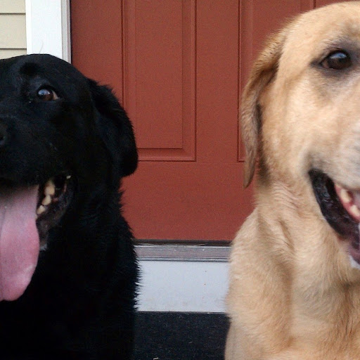 Mona Anderson Photo 13