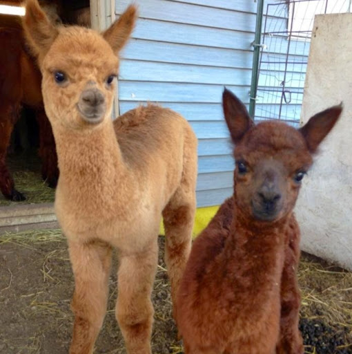 David Wertz Photo 35