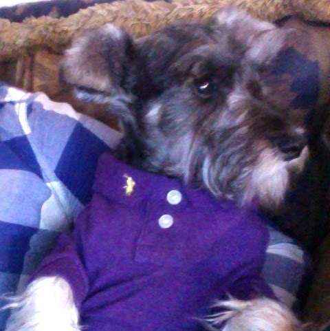 Nydia Torres Photo 16