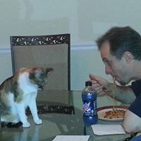 Dave Matthews Photo 18