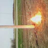 Darrell Stevens Photo 17