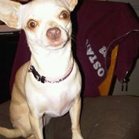 Margaret Prescott Photo 19