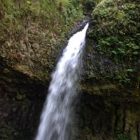 Richard Neff Photo 7