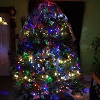 Stacey Everett Photo 31