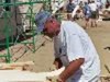 Mark Mcdaniel Photo 45