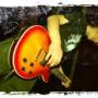 Jack Wood Photo 13