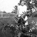 Debbie Norris Photo 12