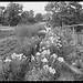 Lynn O'Brien Photo 12
