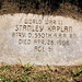 Mary Kaplan Photo 8