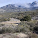 Francis Warner Photo 11