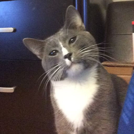 Miguel Dominguez Photo 29