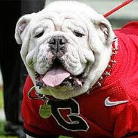 Paul Franks Photo 16