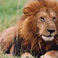 William Raymond Photo 36 William Raymond Photo 36