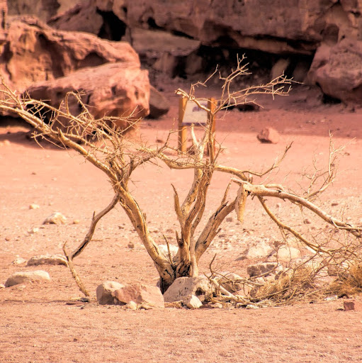 Michael Baram Photo 9 Michael Baram Photo 9