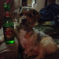 Steven Maldonado Photo 34