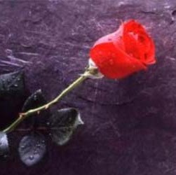 Janine Benoit Photo 11