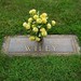 Elizabeth Wiley Photo 3