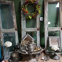 Robin Robison Photo 25