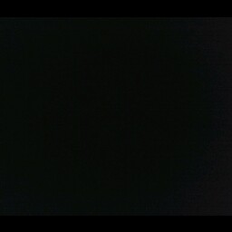 Tamara Frazier Photo 20