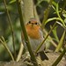 Robin Fisher Photo 16