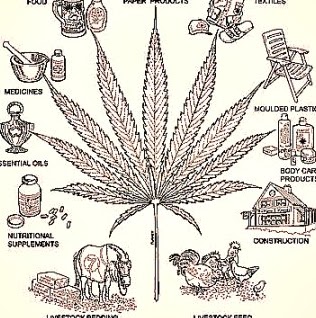 Steven Hurst Photo 35