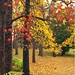 Jeannie Maple Photo 11