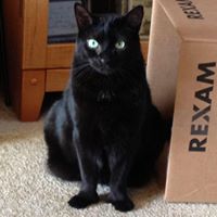 Susan Markham Photo 14