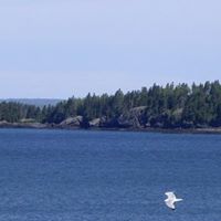 Mary Nowicki Photo 9