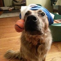 Angela Kirkpatrick Photo 17