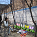 Rachel Zhang Photo 20
