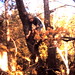 Jon Branch Photo 7