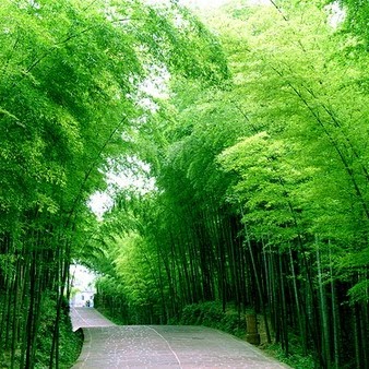 Cuong Pham Photo 17