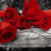 Stacy Huffman Photo 11