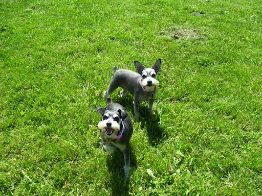 Aimee Hayden Photo 1