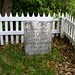 Richard Potter Photo 37