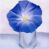 Debra Andersen Photo 36