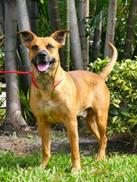 Martha Wilson Photo 7