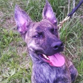 Larry Drake Photo 33