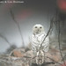 Gary Bowman Photo 13